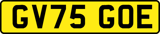 GV75GOE