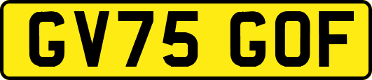 GV75GOF