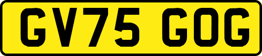 GV75GOG