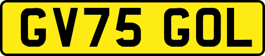 GV75GOL
