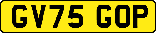 GV75GOP