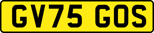 GV75GOS