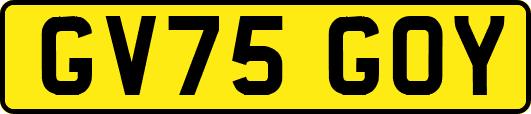GV75GOY