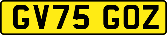 GV75GOZ