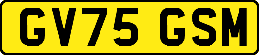 GV75GSM
