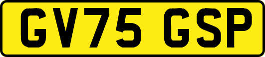 GV75GSP