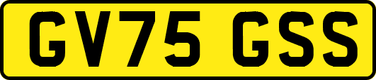 GV75GSS