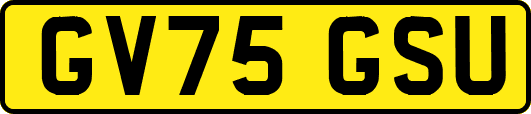 GV75GSU