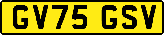 GV75GSV