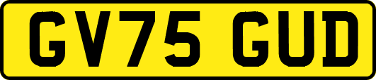 GV75GUD