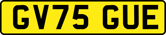 GV75GUE