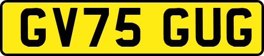 GV75GUG