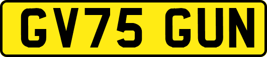 GV75GUN