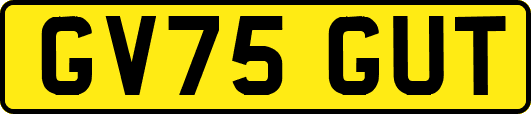 GV75GUT