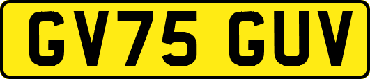 GV75GUV
