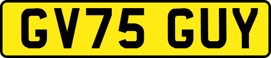 GV75GUY