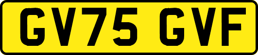 GV75GVF