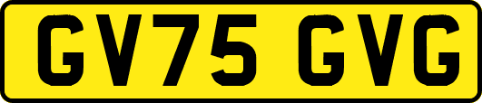 GV75GVG