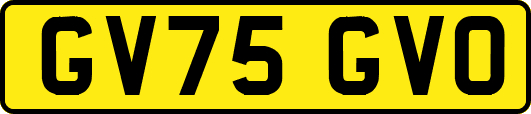 GV75GVO
