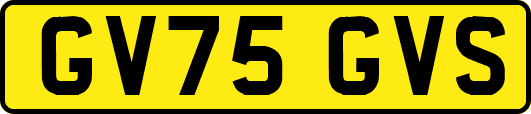 GV75GVS