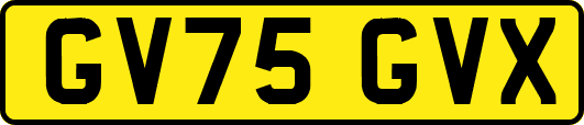 GV75GVX