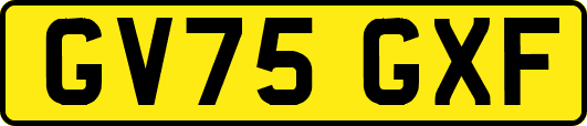 GV75GXF