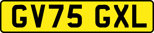GV75GXL