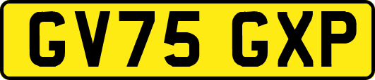 GV75GXP