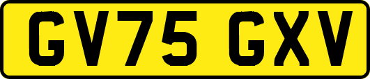 GV75GXV