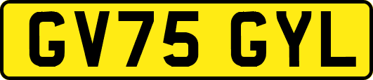 GV75GYL