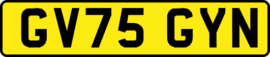 GV75GYN
