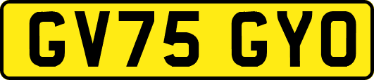 GV75GYO