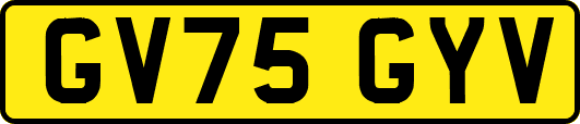GV75GYV