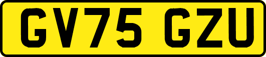 GV75GZU