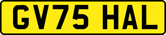 GV75HAL