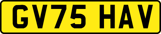 GV75HAV