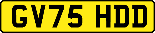 GV75HDD