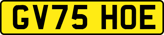 GV75HOE