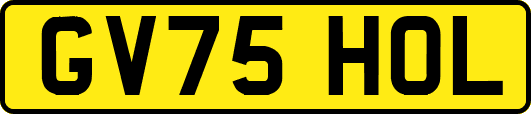 GV75HOL