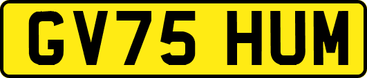 GV75HUM