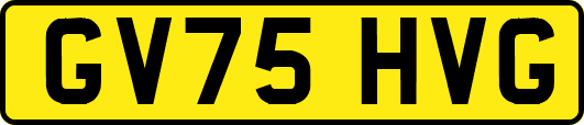 GV75HVG