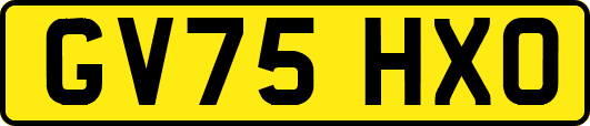 GV75HXO