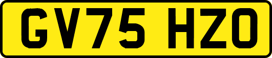 GV75HZO
