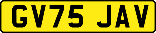 GV75JAV