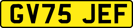 GV75JEF