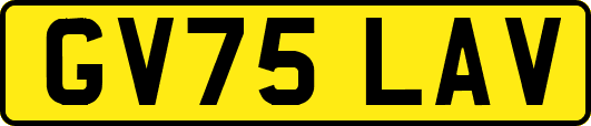 GV75LAV