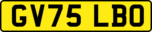 GV75LBO