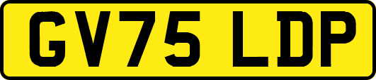 GV75LDP