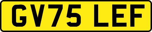 GV75LEF