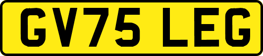 GV75LEG